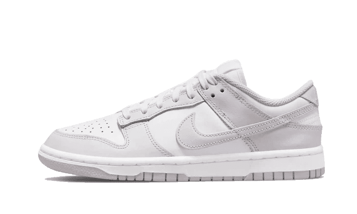 Nike Dunk Low Venice (W)