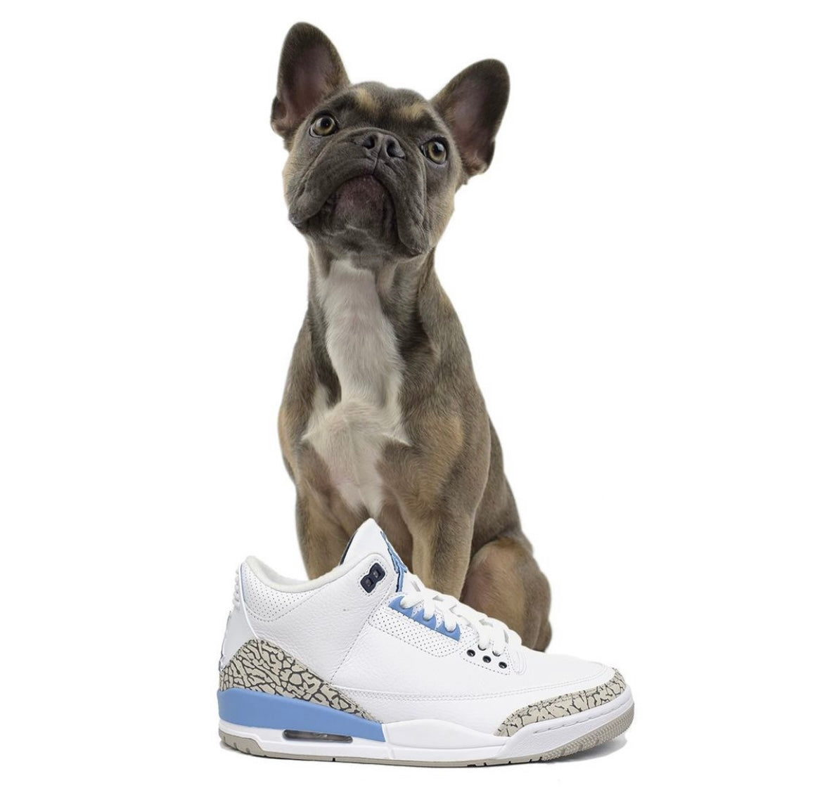 Air Jordan