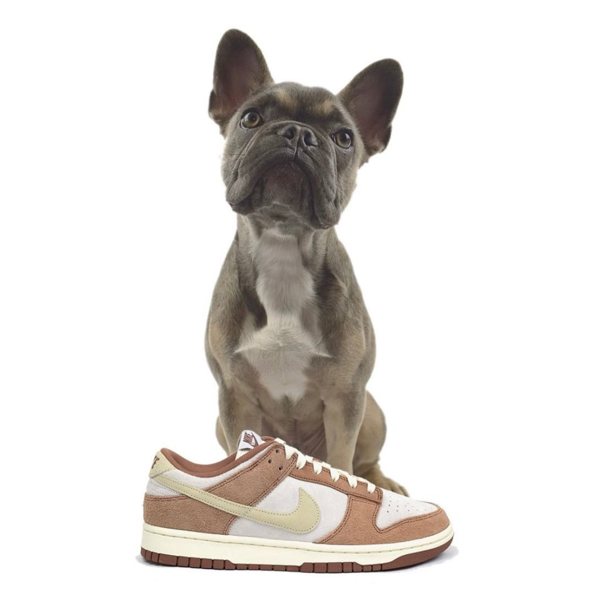 Dunks